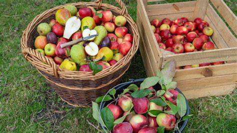 Äpfel und Birnen gewaschen auf Schneidebrett