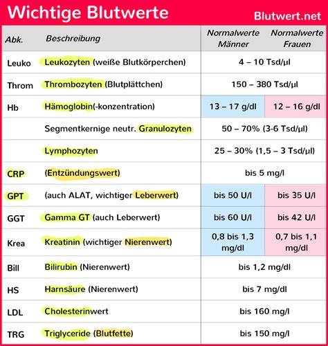 Ärztliche Untersuchung und Blutwerte