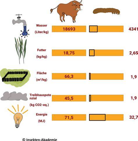 Öko-Infografik: Vorteile essbarer Schokolöffel im Vergleich zu Plastiklöffeln
