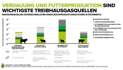 Ökologische Aspekte von Süßungsmitteln - regional vs. importiert