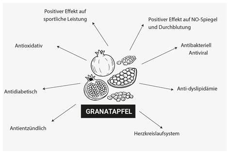 Übersicht: Granatapfel-Eis-Quellen