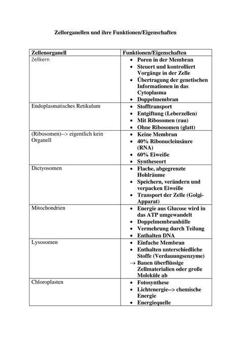 Übersicht Zutaten und ihre Funktionen