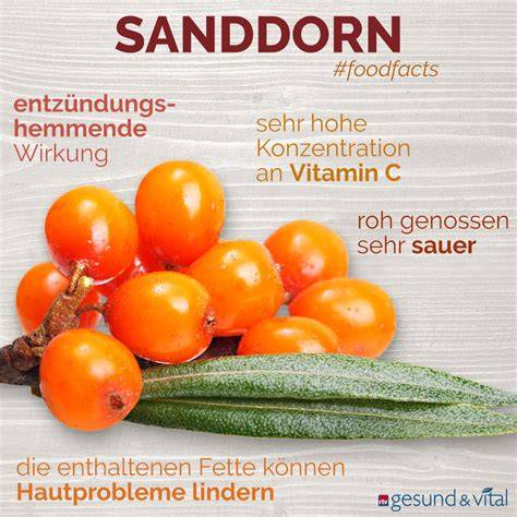 Übersicht der wichtigsten Sanddorn-Inhaltsstoffe als Infografik