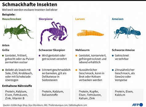 Übersicht der wichtigsten essbaren Insekten und ihrer Verwendung
