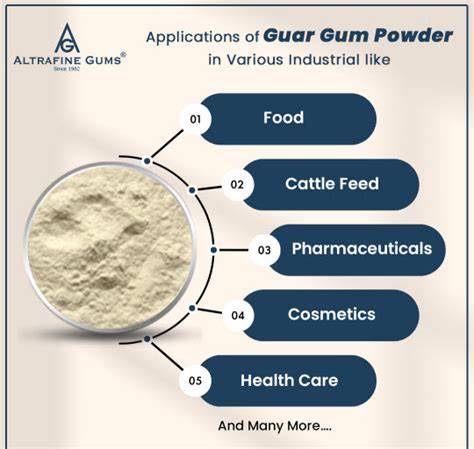 Übersicht des empfohlenen Zubehörs (Töpfe, Guar Gum, Eislöffel)