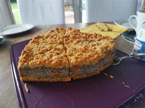 Übersicht verschiedener Käsekuchen-Varianten: Mohn, Streusel mit Mandarinen, Brownie-Käsekuchen