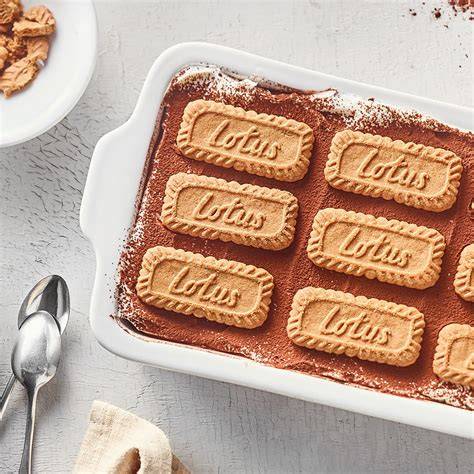 Übersicht verschiedener Kekssorten für Tiramisu (Mürbteig, Lotus, Lebkuchen, Butterkekse)