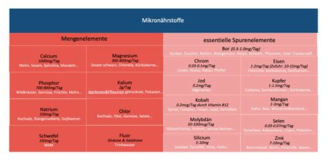 Übersicht zu Makronährstoffen und Mikronährstoffen in Ketchup (Tabellenschema)