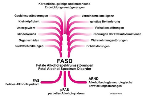 Abbildung: Alkoholverzicht in der Schwangerschaft - Schaubild mit Tipps und Gefahren
