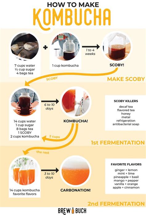 Ablauf der Kombucha-Fermentation (Schema-Infografik)