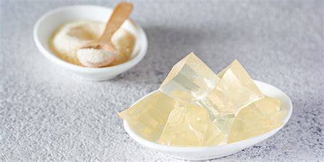 Agar Agar - pflanzliches Geliermittel aus Algen
