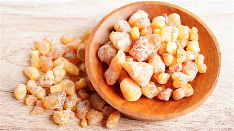 Akazienbäume und Gummi Arabicum Ernte