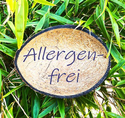 Allergenfreie Pflanzenmilchsorten