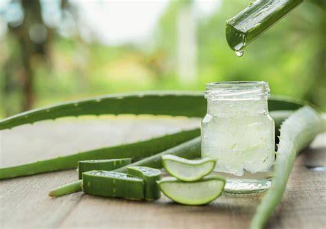 Aloe Blatt halbiert und Gel im Glas