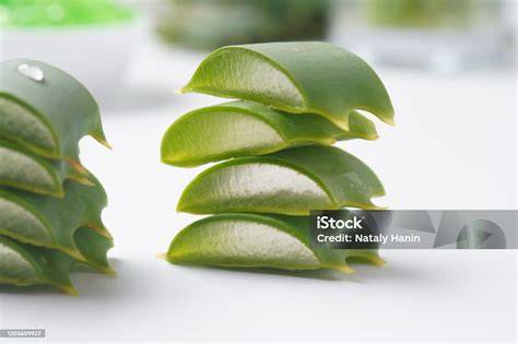 Aloe-Vera-Blätter und Gel