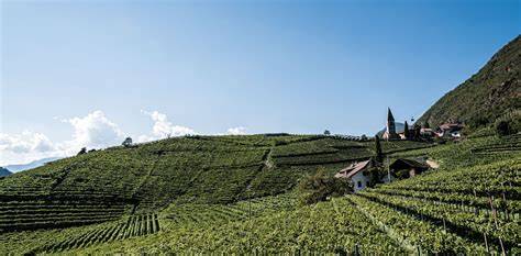 Alpenregion als Herkunft für Alpenmilchschokolade