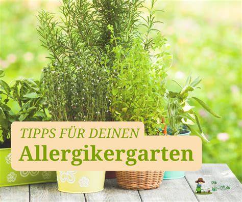 Alternative Schokoladenprodukte und Tipps für Allergiker