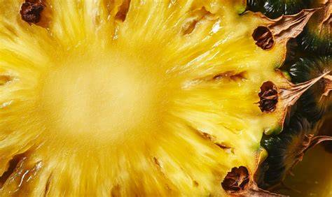 Ananas im Querschnitt: Fruchtfleisch und Kern