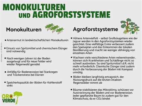 Anbaumethoden: Monokultur vs. Agroforstsystem
