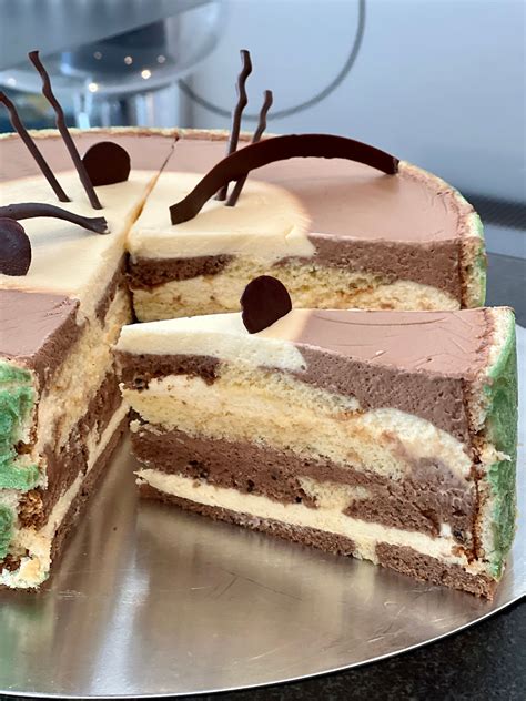 Anschnitt der Torte: Biskuit, Marzipan, Aprikose, Mousse und Glasur in Schichten