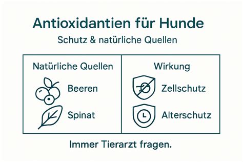 Antioxidantien in Tee und gesundheitlicher Nutzen