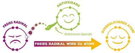 Antioxidantien und ihre Wirkung auf freie Radikale im menschlichen Körper