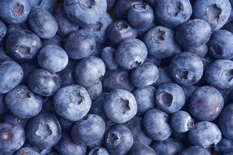 Antioxidative und entzündungshemmende Wirkung: Ergebnisse aus Studien