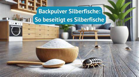 Anwendung Backpulver-Zucker-Mischung gegen Silberfische