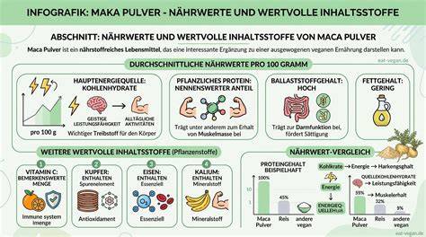 Anwendungsarten von Eiszauber Pulver bei der Eiszubereitung - Infografik