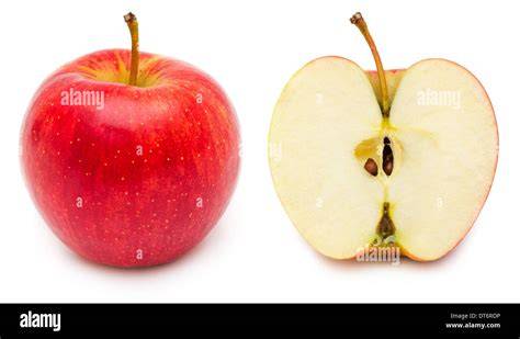 Apfel und Reneklode im Querschnitt