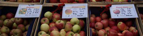 Apfel- und Honigmarkt Hohenbrunn, Markterlebnis