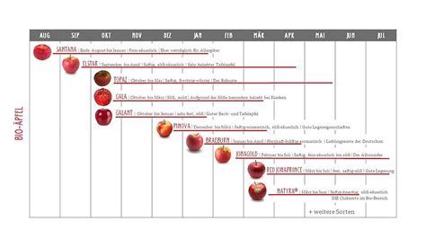 Apfel-Saisonkalender