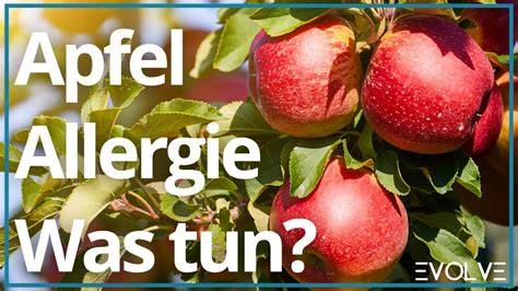 Apfelallergie und Tipps für Schwangere