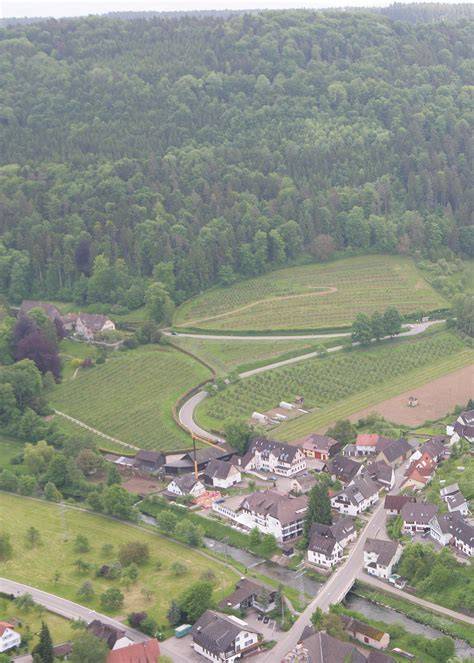 Apfelgut Sulz-Hopfau, malerische Obstgärten mit Apfelbäumen