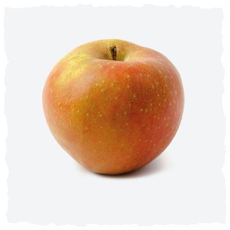 Apfelsorten für Apfelkuchen: Boskoop vs. Elstar