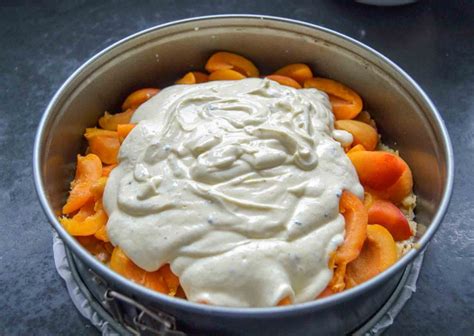 Aprikosenhälften auf Quarkcreme, Spiegeleikuchen-Oberfläche