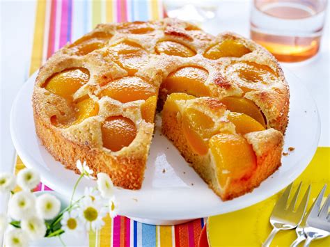 Aprikosenkuchen mit Marmeladenschicht und frischen Aprikosen