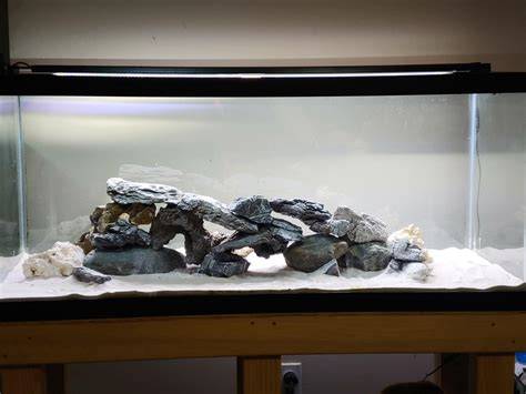 Aquarium-Setup: Sandboden, Höhlen, stabile Steinaufbauten