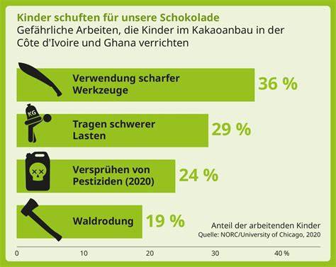 Arbeitsbedingungen auf Kakaoplantagen