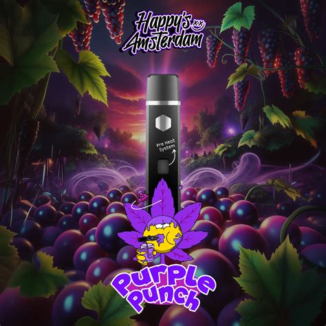 Aroma und Geschmack Purple Gelato