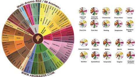 Aromarad: fruchtig, blumig, Tannine und Säureprofil bei Valrhona