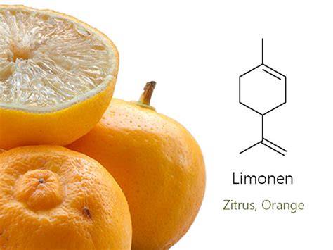 Aromarad mit Caryophyllen, Limonen und Linalool