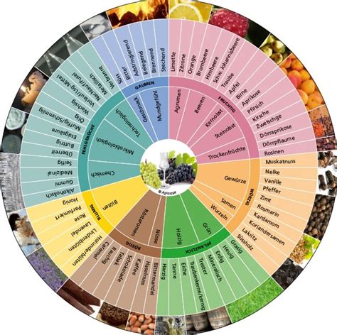 Aromarad und Netzdiagramm zur Aromenbeschreibung