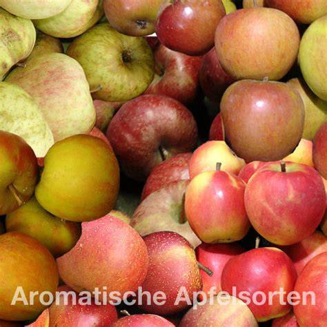 Aromatische Apfelsorten für Streuselkuchen