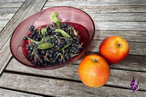Aroniabeeren und Äpfel