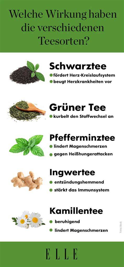 Arten von Tee und ihre Besonderheiten