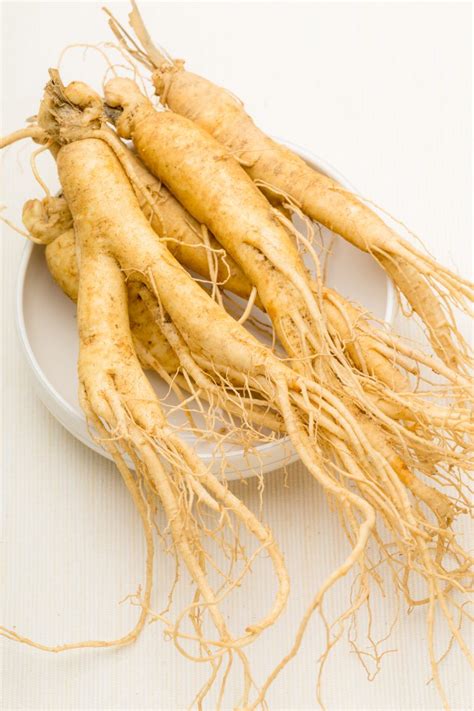Asiatischer Ginseng als bekanntes natürliches Aphrodisiakum