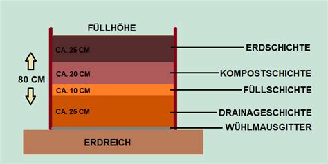 Aufbau der Herztorte Schicht für Schicht