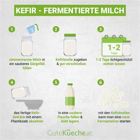Aufbewahrung und Haltbarkeit: Infografik Kühlschrank, Einfrieren, Zimmertemperatur