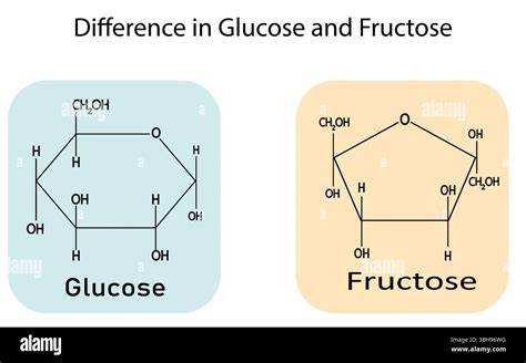 Aufgabenblatt: Rechenaufgaben zur optischen Drehung von Glucose und Fructose